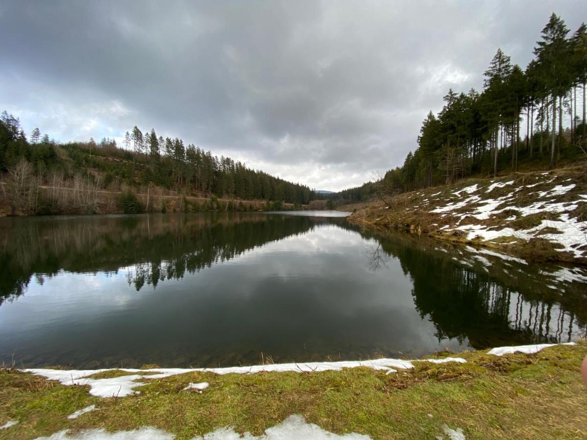 Ferienwohnung Hohensee Eg Clausthal-Zellerfeld Esterno foto